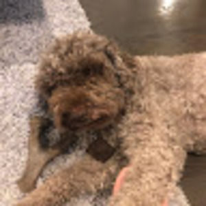 Meet your Posher, Emi